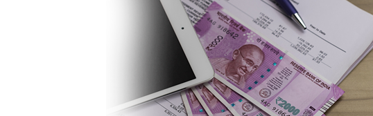 Reimbursement Account Fees & Charges